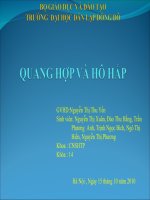 Quang hợp và hô hấp ở thực vật