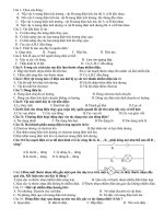 đề cuong on tap kiẻm tra 1 tiết