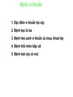 Bệnh cây nông nghiệp bài 8 vi khuẩn