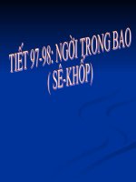 Nguoi trong bao ( Se khop )