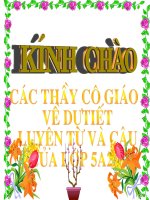 LTVC : Tổng kết vốn từ