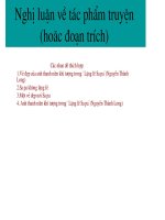 Nghi luan ve tac pham truyen(hoac doan trich).ppt
