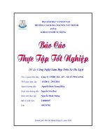 Báo cáo thực tập tốt nghiệp Công nghệ làm đẹp trên xe du lịch