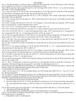 Chuyên đề : Nhóm - Halogen ---Hot