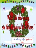 vingu tong cau ke ai la gi