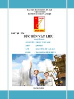 Bài Tập Lớn Sức Bền Vật Liệu - Triệu Tuấn Anh, 11 Trang