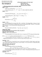 Đề và Đáp án thi thử môn Toán khối A, B, D 2011 chuyên Hạ Long