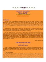 LUẬN BẢO VƯƠNG TAM MUỘI