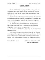 luận văn công nghệ sinh học  Nghiên cứu một số yếu tố ảnh hưởng đến quá trình lên men nước giải khát kombucha từ chè phế liệu.DOC