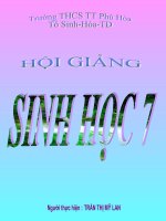 tiet 50-Bộ dơi và Bộ cá voi