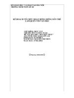 day tho: ''hoa ket trai 