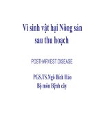 bài giảng vi sinh vật hại nông sản sau thu hoạch