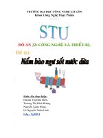 tiểu luận công nghệ thực phẩm   NẤM BÀO NGƯ SỐT NƯỚC DỪA ĐÓNG HỘP.