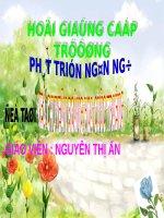 ke chuyen su tich bong hoa cuc trang