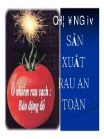 tìm hiểu về các loại cây rau học viện nông nghiệp (3)
