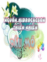 thuyet trinh ve nguon hidrocacbon thien nhien