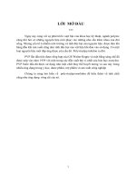 Tiểu luận tìm hiều về polyvinylpyrronlidon và các ứng dụng của nó