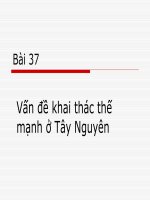 taynguyen37