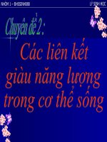 CAC LIEN KET GIAU NANG LUONG