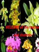 tiếng anh 7/ unit 7_ lesson 6