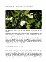 Bài thuốc bí truyền 3 đời chữa khỏi tất cả các bệnh về gan