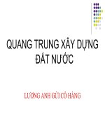 Quang trung xây dựng đát nước - Lương anh