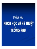 tìm hiểu về các loại cây rau học viện nông nghiệp (4)