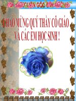 Sinh 6: Tiết 53. Bài 45