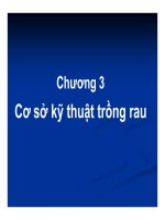 tìm hiểu về các loại cây rau học viện nông nghiệp (2)
