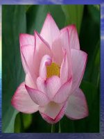 Tiết 101 Bàn về phép học