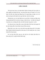 Báo cáo thực tập phát triển cho vay tiêu dùng tại Ngân hàng VIB chi nhánh Bình Thạnh