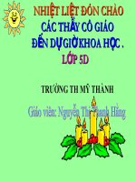 khoa hoc: Co quan sinh san o thuc vat co hoa