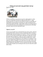 Những nét tươi mới trong phê bình văn học