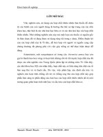 luận văn công nghệ sinh học  Thực nghiệm và phương pháp nghiên cứu Artemisinin