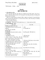 giao an lop 5 tuan 29-30 cuc hay