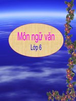 Tiết 107-Các thành phần chính của câu