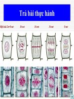 DINH DƯỠNG, CHUYỂN HÓA VẬT CHẤTVÀ NĂNG LƯỢNG Ở VI SINH VẬT