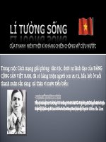 LI TUONG SONG CUA THANH NIEN VIET NAM