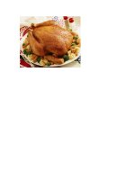 giáo an ca nam chuan (0976026341)