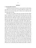 tóm tắt luận án tiến sĩ Nghiên cứu một số thông số chính làm cơ sở thiết kế thiết bị sấy vải quả sử dụng năng lượng khí sinh học (biogas)