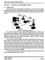 Nghiên cứu chất lượng dịch vụ trong Wimax.PDF