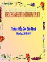 lớp 5 tuổi. sự phát triển của cây