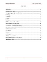 luận văn  công nghệ thực phẩm  Công nghệ Sản xuất kẹo gôm Turkish delight