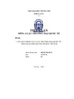 luận văn kinh tế luật Các quy định cơ bản của Luật Thương mại quốc tế liên quan đến quyền sở hữu trí tuệ