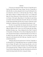 tiểu luận Những điều kiện mới thúc đẩy thương mại Champa phát triển.