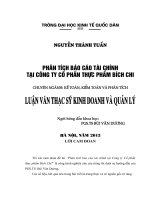 Luận văn thạc sỹ: Phân tích báo cáo tài chính tại Công ty cổ phần thực phẩm Bích Chi