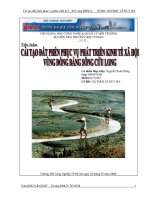 Tiểu luận Cải tạo đất phèn phục vụ phát triển kinh tế xã hội vùng đồng bằng sông Cửu Long