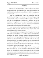 luận văn công nghệ hóa học Khảo sát điều kiện tổng hợp và nghiên cứu tính chất quang xúc tác của vật liệu TiO2 biến tính bằng nitrogen ứng dụng trong xử lý môi trường