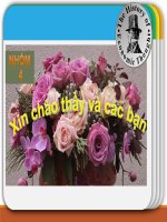 Lý luận về thương mại quốc tế qua các tác giả và trường phái trong lịch sử các học thuyết kinh tế