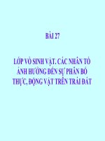 BÀI 27: LỚP VỎ SINH VẬT. CÁC NHÂN TỐ ẢNH HƯỞNG ĐẾN SỰ PHÂN BỐ THỰC, ĐỘNG VẬT TRÊN TRÁI ĐẤT